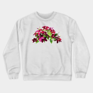 Magenta Clematis With Vine Crewneck Sweatshirt